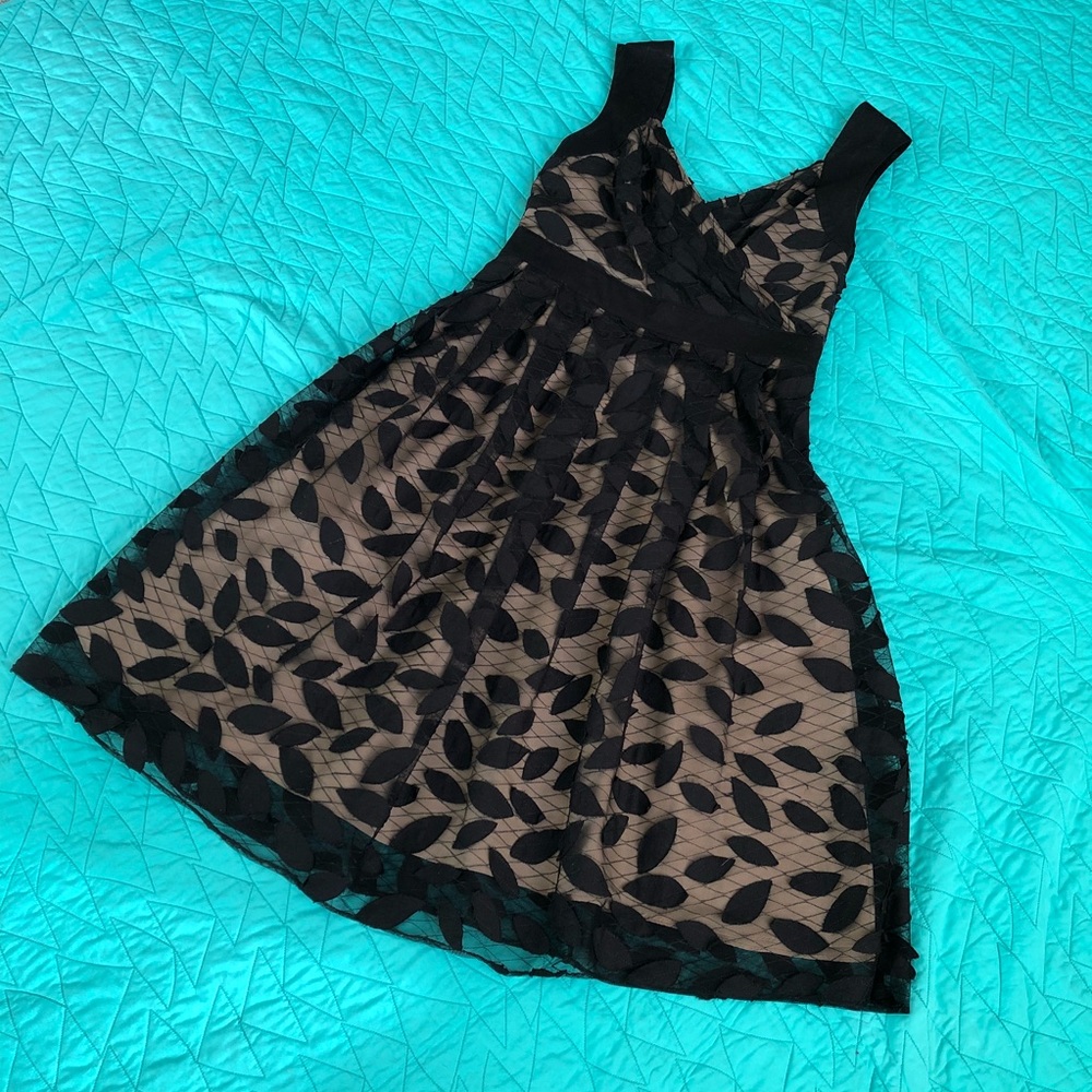 Adrianna Papell: Lace overlay semi-formal dress